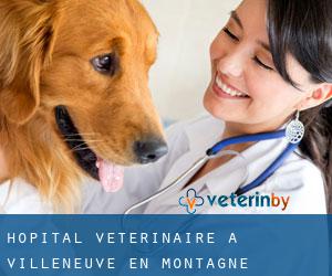 Hôpital vétérinaire à Villeneuve-en-Montagne