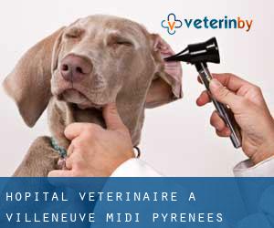Hôpital vétérinaire à Villeneuve (Midi-Pyrénées)