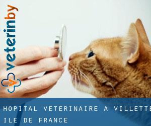 Hôpital vétérinaire à Villette (Île-de-France)