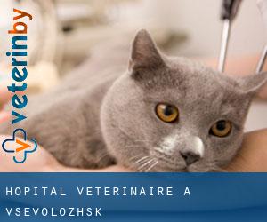 Hôpital vétérinaire à Vsevolozhsk