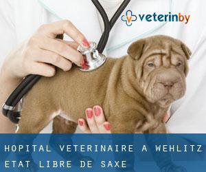 Hôpital vétérinaire à Wehlitz (État libre de Saxe)