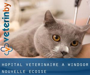 Hôpital vétérinaire à Windsor (Nouvelle-Écosse)