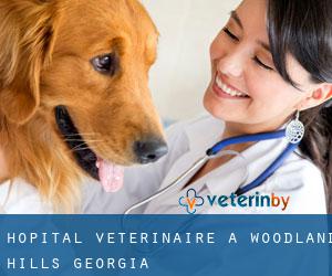 Hôpital vétérinaire à Woodland Hills (Georgia)