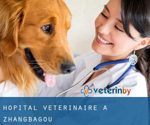 Hôpital vétérinaire à Zhangbagou
