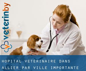 Hôpital vétérinaire dans Allier par ville importante - page 1