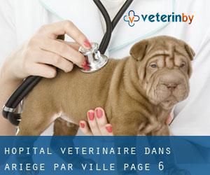 Hôpital vétérinaire dans Ariège par ville - page 6