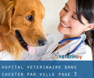 Hôpital vétérinaire dans Chester par ville - page 3