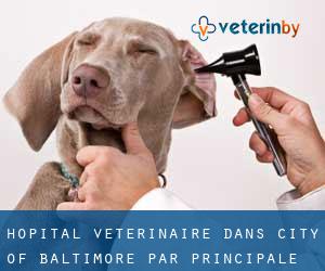 Hôpital vétérinaire dans City of Baltimore par principale ville - page 3