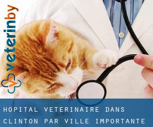 Hôpital vétérinaire dans Clinton par ville importante - page 1