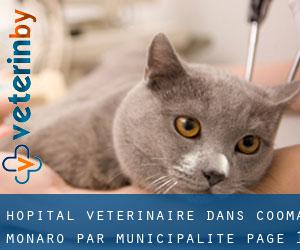 Hôpital vétérinaire dans Cooma-Monaro par municipalité - page 1