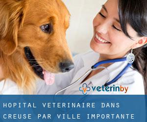 Hôpital vétérinaire dans Creuse par ville importante - page 19