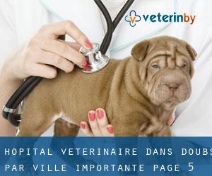 Hôpital vétérinaire dans Doubs par ville importante - page 5