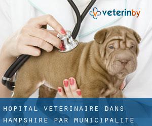Hôpital vétérinaire dans Hampshire par municipalité - page 6