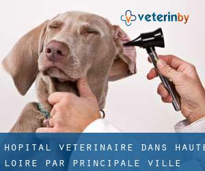 Hôpital vétérinaire dans Haute-Loire par principale ville - page 7
