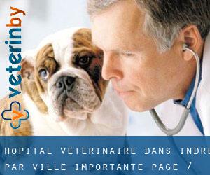 Hôpital vétérinaire dans Indre par ville importante - page 7