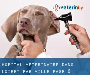 Hôpital vétérinaire dans Loiret par ville - page 6