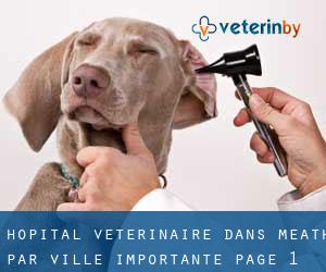 Hôpital vétérinaire dans Meath par ville importante - page 1