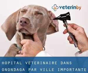 Hôpital vétérinaire dans Onondaga par ville importante - page 2