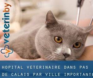 Hôpital vétérinaire dans Pas-de-Calais par ville importante - page 1