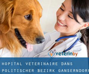 Hôpital vétérinaire dans Politischer Bezirk Gänserndorf par principale ville - page 1