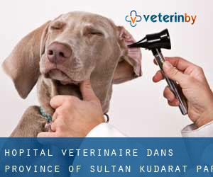Hôpital vétérinaire dans Province of Sultan Kudarat par municipalité - page 2