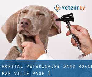 Hôpital vétérinaire dans Roane par ville - page 1