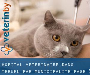 Hôpital vétérinaire dans Teruel par municipalité - page 3