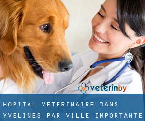 Hôpital vétérinaire dans Yvelines par ville importante - page 8