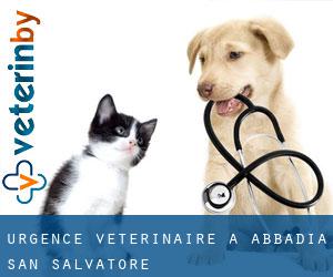 Urgence vétérinaire à Abbadia San Salvatore