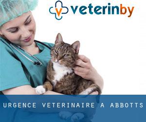 Urgence vétérinaire à Abbotts