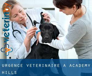 Urgence vétérinaire à Academy Hills