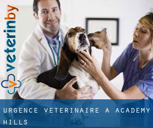 Urgence vétérinaire à Academy Hills