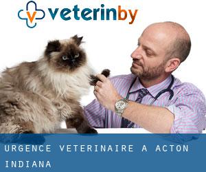 Urgence vétérinaire à Acton (Indiana)