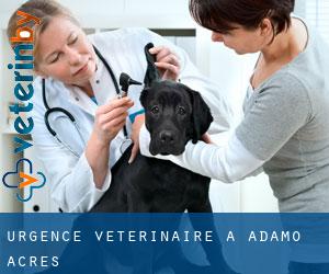Urgence vétérinaire à Adamo Acres