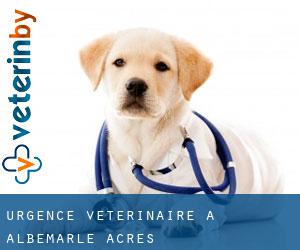 Urgence vétérinaire à Albemarle Acres