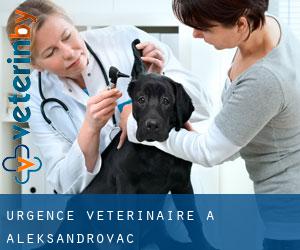 Urgence vétérinaire à Aleksandrovac