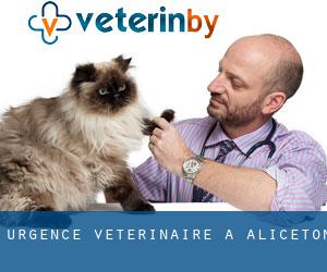 Urgence vétérinaire à Aliceton