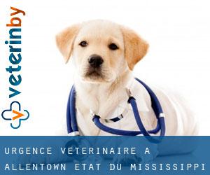 Urgence vétérinaire à Allentown (État du Mississippi)