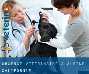 Urgence vétérinaire à Alpine (Californie)