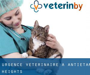 Urgence vétérinaire à Antietam Heights