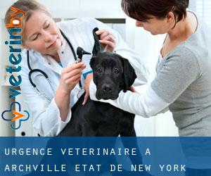 Urgence vétérinaire à Archville (État de New York)