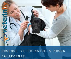 Urgence vétérinaire à Argus (Californie)
