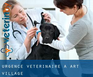 Urgence vétérinaire à Art Village