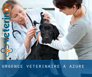 Urgence vétérinaire à Azure