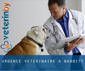 Urgence vétérinaire à Babbitt