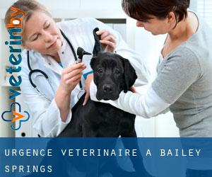 Urgence vétérinaire à Bailey Springs