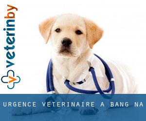 Urgence vétérinaire à Bang Na