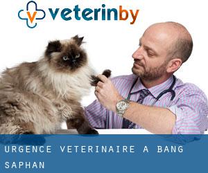 Urgence vétérinaire à Bang Saphan