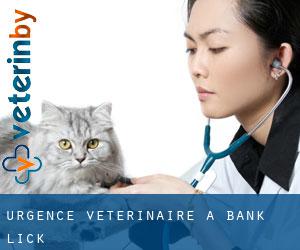 Urgence vétérinaire à Bank Lick
