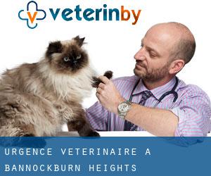 Urgence vétérinaire à Bannockburn Heights